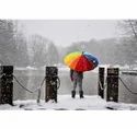 Rainbow Colour Umbrella