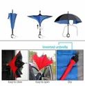 C Handle Umbrella