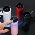Temperature Water Bottle
