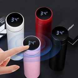 Temperature Water Bottle
