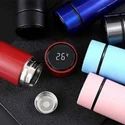 Temperature Water Bottle
