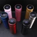 Temperature Water Bottle