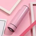 Temperature Water Bottle