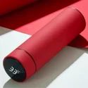 Temperature Water Bottle