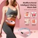 Electric Menstrual Heating Pad