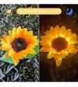Solar Sunflower Light