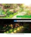 Firefly Solar Garden Light