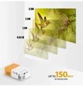 Mini Portable Projector